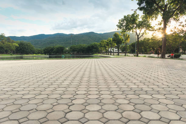Best Paver Driveway Replacement  in Bicknell, IN